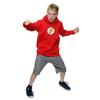 DC Comics Boys Flash Distressed Logo Hoodie