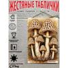 Металлический настенный плакат, грибы в сказочном лесу, для декора гостиной, 20x30 см