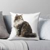Потрясающая наволочка для подушки с изображением Норвежской лесной кошки, квадратная, полиэстер, лен, бархатный узор, молния, декоративная наволочка для дивана