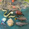 Sea Animal Pvc Statues Collection Featuring Spider Crab And Pufferfish For Home Decor