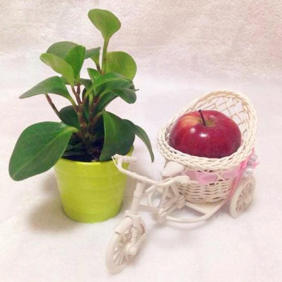 Цветочная корзина в виде велосипеда