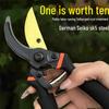 Garden Pruning Shears for Fruit Trees and Thick Branches