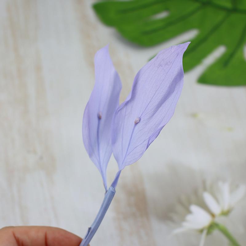 DIY Floral Art Ornament: Preserved Tangerine & Fishtail Leaf, Lily, Bamboo Dried Flowers – Ikebana Photo Prop for Home Décor.