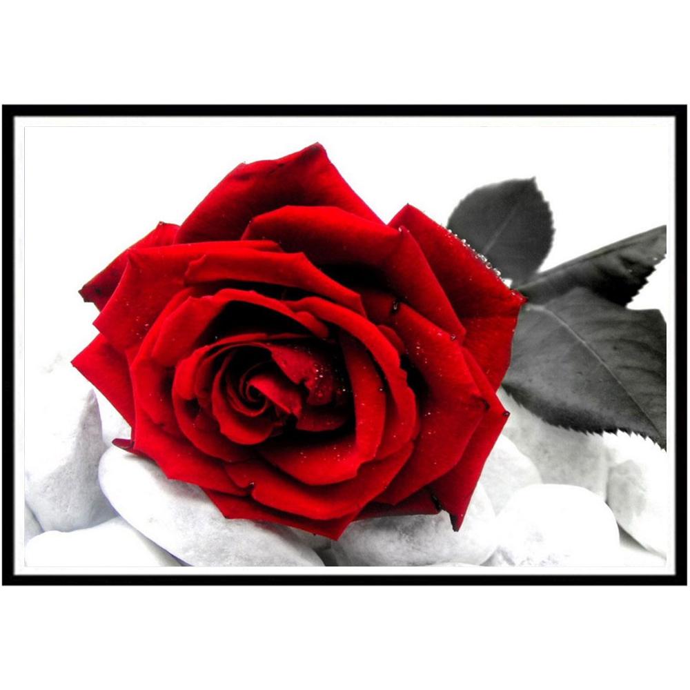 5D алмазная живопись Diy цветочный узор полный алмаз ручной работы круглый алмаз вышивка мозаика украшение дома гостиная подарок