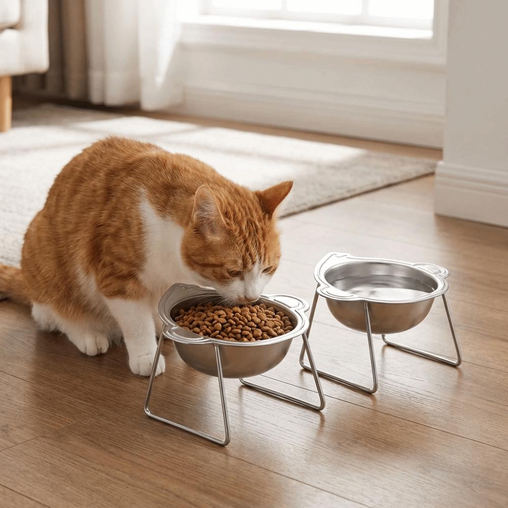 Stainless Steel Elevated Pet Bowl 15 Degree Inclined Pet Feeder Container Wet Dry Food