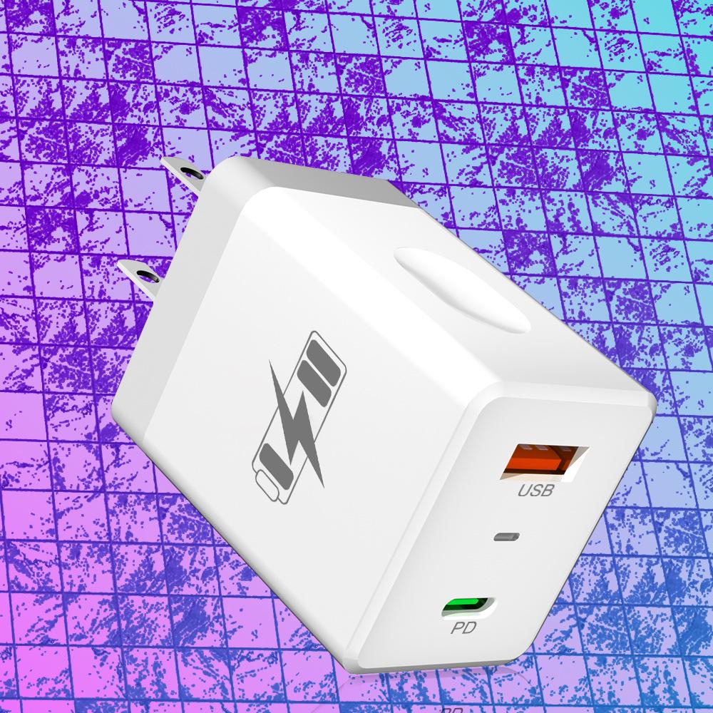 Thumbprint Dual USB 2.4A Travel Charger - US, EU, KR, UK Plugs