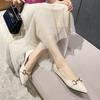Huiliya Single Shoes Women's 2025 Spring New Fashion Temperament Matching Skirt Shallow Mouth Pointed Head Low Heel Evening Shoes Women
