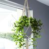 Handmade Cotton Rope Hanger Flower Pot Gardening Tassel Hanging Basket Tray Plant Hanger  Outdoor