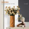 Nordic Light Luxury Керамическая ваза Украшение для дома Украшения для дома Ремесла Гостиная Сухоцветы Цветочная композиция Аксессуары