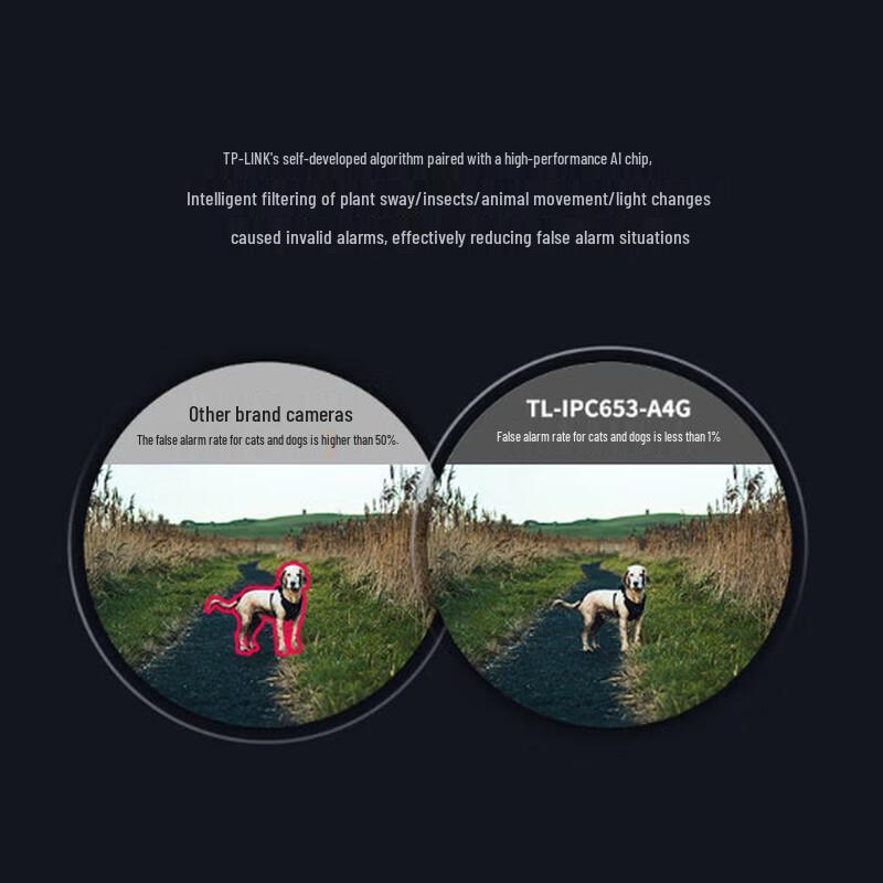 TP-Link TL-IPC653-A4G 5MP 4G Outdoor PTZ Security Camera