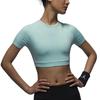 Sport Quick-Dry Tight-Fitting Moisture-Wicking Short Sleeve Fitness Top Women Tops Light-Rain-Dew-Green Jewel-Green FV6928368
