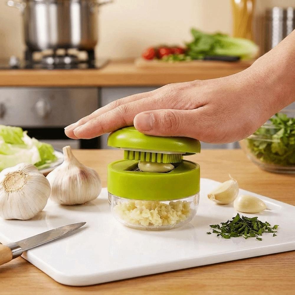 with Storage Case Mini Garlic Press Stainless Steel Garlic Chopper Garlic Paste Maker Home Use