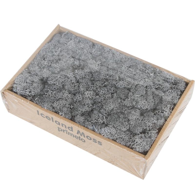 Preserved Flower & Moss Wall Decoration Kit: Flower Gift Box Materials