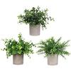 East Leaf Faux Greenery, Mini Potted Plants, Indoor Decor, Tabletop Decor, Stylish Gift, Set of 3