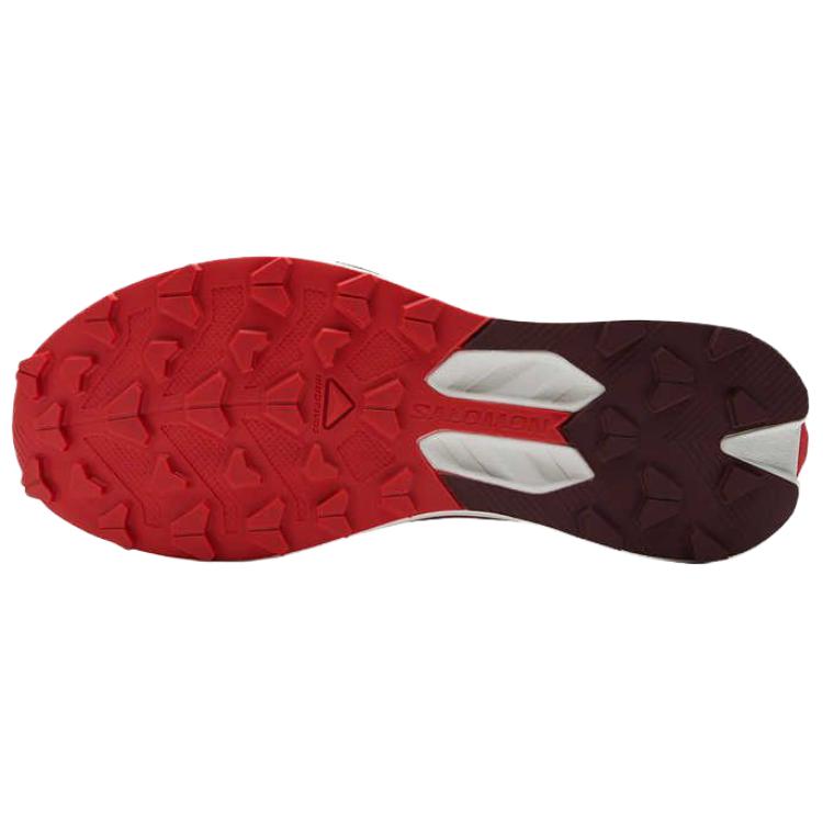 SALOMON S/Lab Pulsar 4 Versatile Comfortable Durable Low-Top Running Shoes Unisex Running Shoes Red 477703