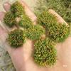 Handmade Miniature Grass Clump Block for Dollhouse, DIY Anime Decoration, and Micro Landscape Model