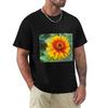 Футболки и майки – Футболки