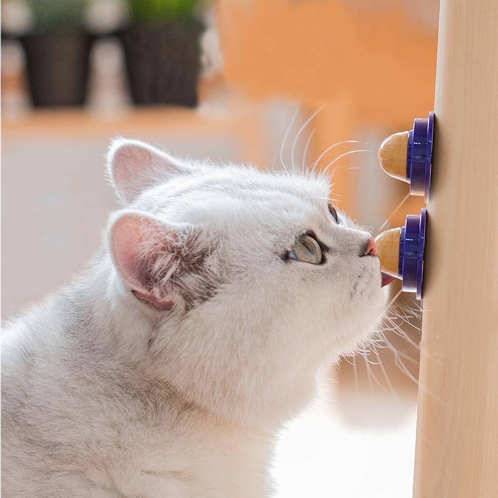 Натуральная кошачья мята, котенок, мятный шарик, игрушка, шарик для лечения кошек, игрушка для чистки зубов