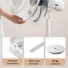 Midea 7-Blade Remote Control Air Circulation Floor Fan CN plug (adapter included)