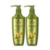 Набор шампуня и кондиционера Schwarzkopf Ginger Essence для контроля жирности