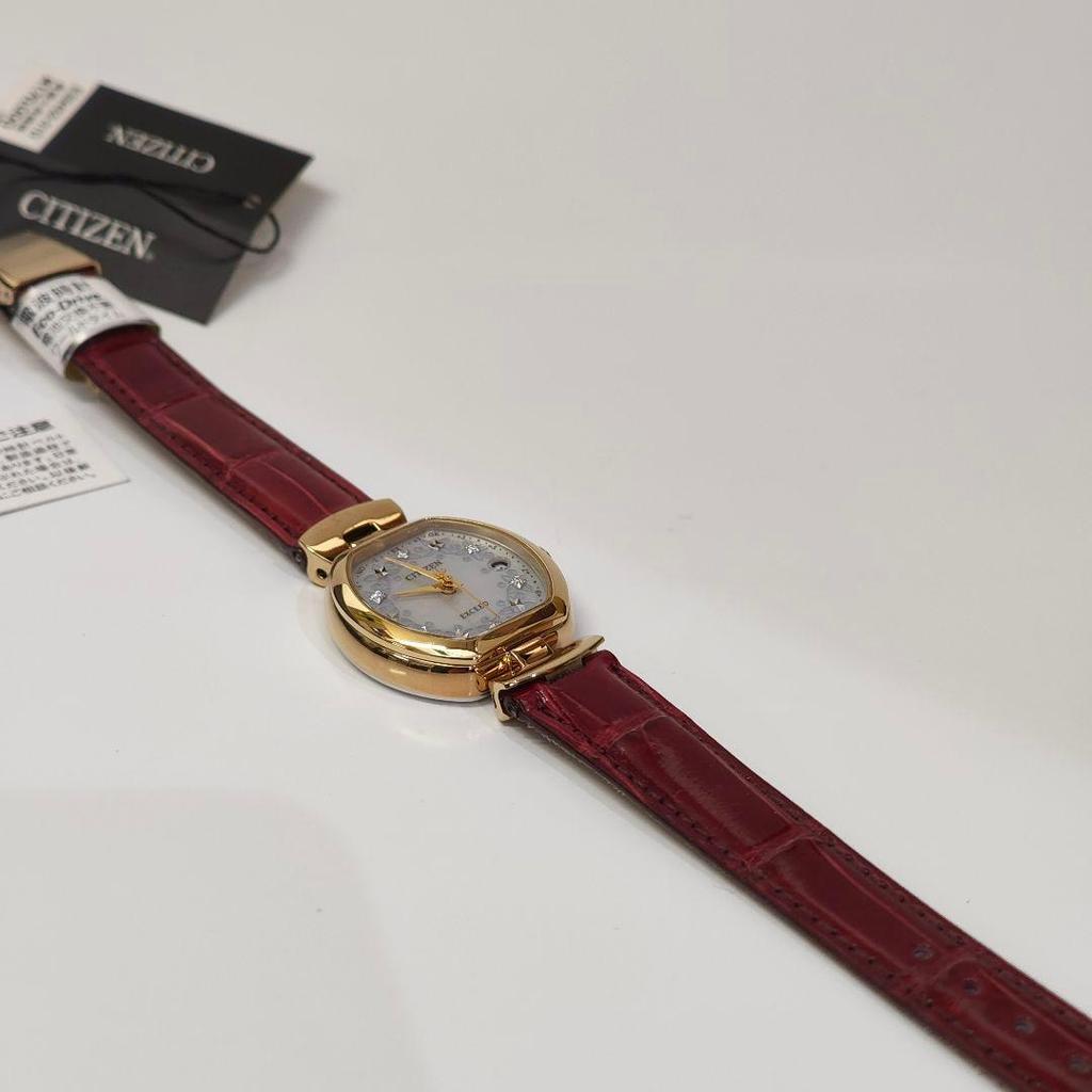 Used New CITIZEN EXCEED ES9452-01D Watch with Manufacturer Warranty