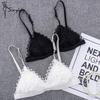 Women Lace Bra No Steel Ring Beauty Back Wrapped Chest Comfortable Daisy Brassiere Stretch Triangle Cup Padded Underwear
