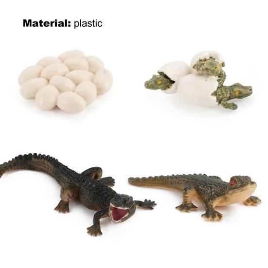 Модель игрушки Образовательный дизайн Раннее моделирование Пластиковые животные Цикл роста Миниатюрный цикл обучения животных