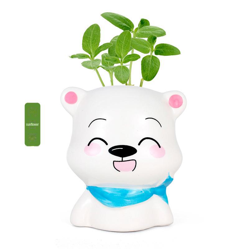 Creative Potted Plant Gifts for Kindergarten Birthdays and School Prizes