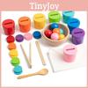 Classification Matching Color Cups Toy For Kids Early Learning Development And