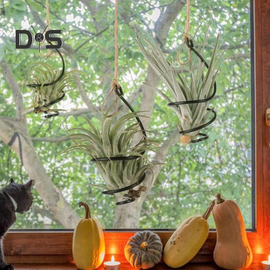 6 шт. держатель для воздушных растений металлический подвесной контейнер для тилландсии регулируемый вихревой держатель для воздушных растений для домашнего офиса балкона садовый декор