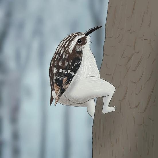 Настенный календарь на 2024 год с рисунком птицы, большой письменный планировщик, ежедневные мероприятия, забавный настенный календарь