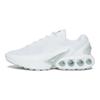 Air Max DN White Metallic Silver Женские кроссовки Pure-Platinum Summit-White FJ3145-102