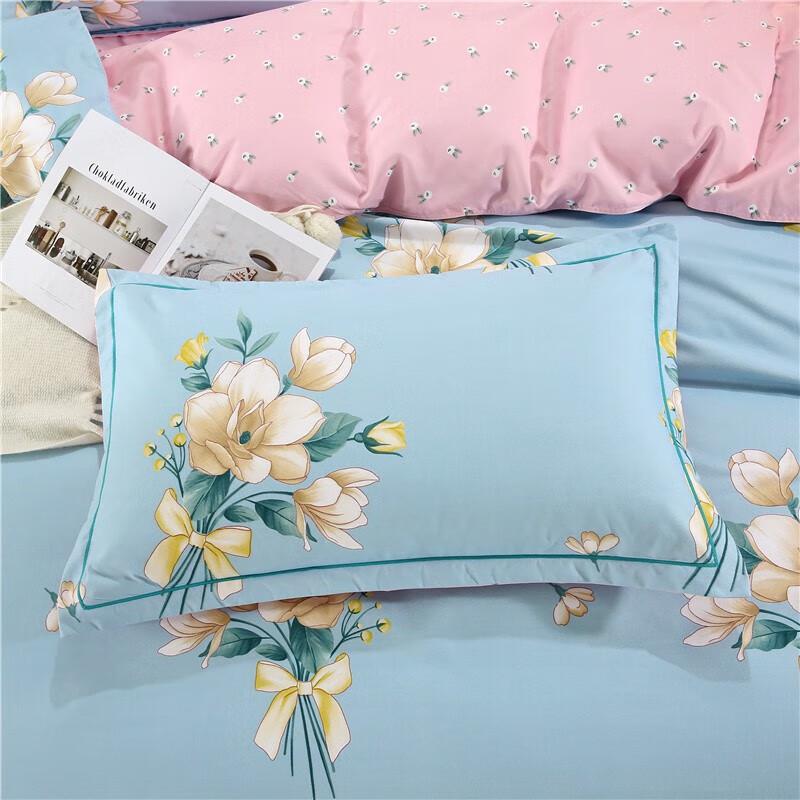 Youmengjiaju Printed Brushed Microfiber 4-Piece Bedding Set
