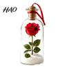 Unique Anniversary Souvenir Recordable Christmas Message in A Bottle, Voice Recording Holiday Keepsake with Emotional Connection Gift Playback