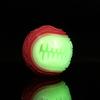 For Hot Pet Toy Dog Teething Bite-Resistant Glow-in-the-Dark Food-Leaking Training Ball TPR