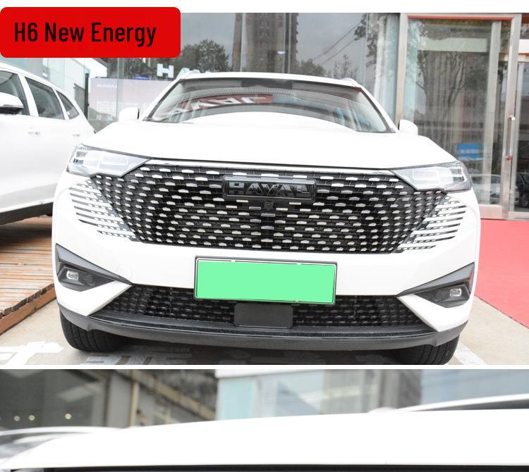 Накладки на эмблемы Haval 2nd Gen Big Dog PHEV H6 из карбона (Передний задний)