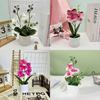 Butterfly Orchid Artificial Plant With 3d Printing For Home Decor And Photography Props