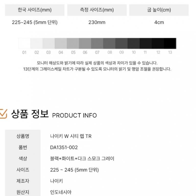 Nike Running Shoe W City Rep Tr