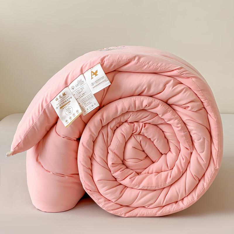 Пугу Теплыйinsert для одеяла из хлопка Синьцзян