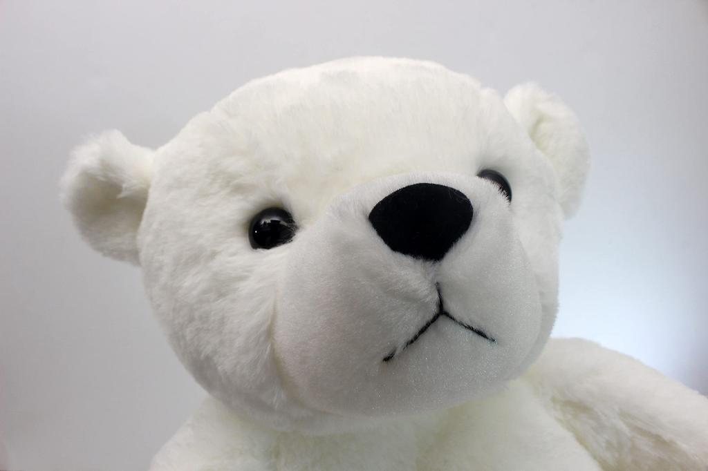 Take Off Bear Flair M Белый медведь