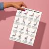 2 Sheets Seated Core Exercise Poster, Chair Workout Chart for Abs, Home Gym Wall Art, Strength Training Guide for Seniors