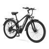 HALO KNIGHT H02 Взрослый Электровелосипед Мотор 750 Вт Аккумулятор 48В16Ач 29-дюймовые Широкие Шины Вездеходный Электровелосипед
