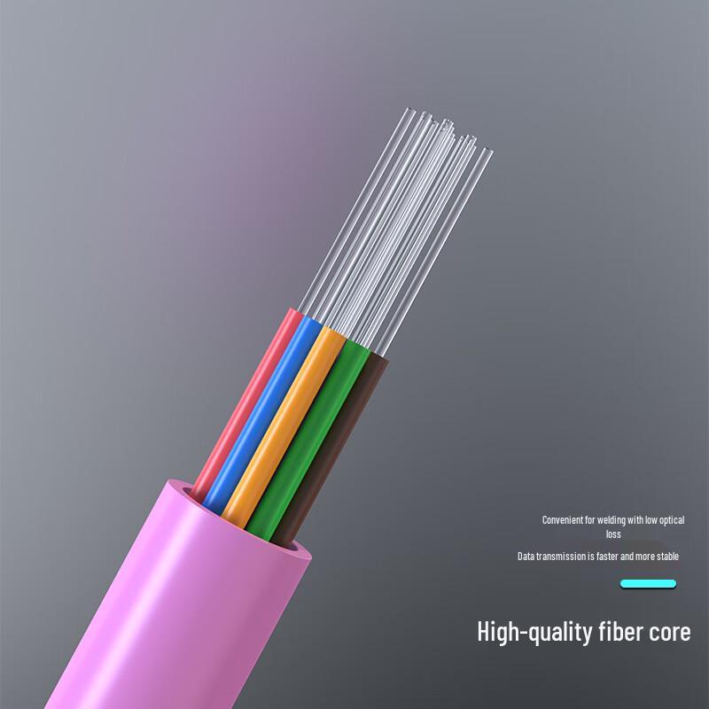 Dasheng Light MPO-MPO OM4 Multimode Fiber Patch Cable