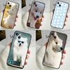 Samoyed Puppy Phone Case For iPhone 16 15 14 12 11 13 Pro Max 7 8 Plus X XR XS Max 13 12 Mini Cover