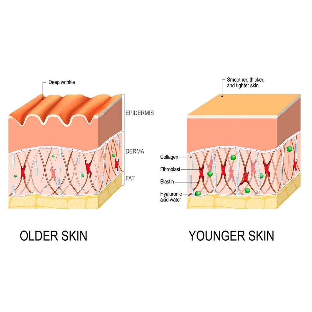 Эссенция против глубоких морщин Уменьшает тонкие линии и темные круги под глазами Регулирует тон кожи Подтягивает кожу Увлажняет и защищает кожу