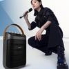 Edifier PK305 Портативная Bluetooth-колонка KTV CN-вилка (адаптер в комплекте)