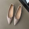 French Temperament Xiaoxiang Evening Breeze Pointed Single Shoes Women's Shallow Mouth 2024 New Spring and Autumn Flat Shoes Rivet Ladyshoes