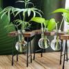 Creative Wooden Frame Hydroponic Plant Container Glass Bulb Vase Home Tabletop Decor Vases Beaker Glass Planter Bonsai