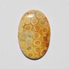 Natural Fossil Coral Gemstone Cabochon, Top Quality Indonesians Fossil Coral Cabochon Craft Supply 82 Carats Oval Shape, Jewelry Making