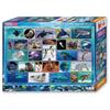 [Made In Japan] BEVERLY 100 Piece Jigsaw Puzzle Aquarium (26 X 38cm) 100-042